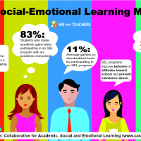 Social and Emotional Intelligence in Education